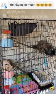 Cat cage 4 layers crate carrier Meowtech litter Sand box powercat ciao power cat poop Plastic tray  saint roche hooman Play Fence pen Dono Pet pee pad diaper wraps