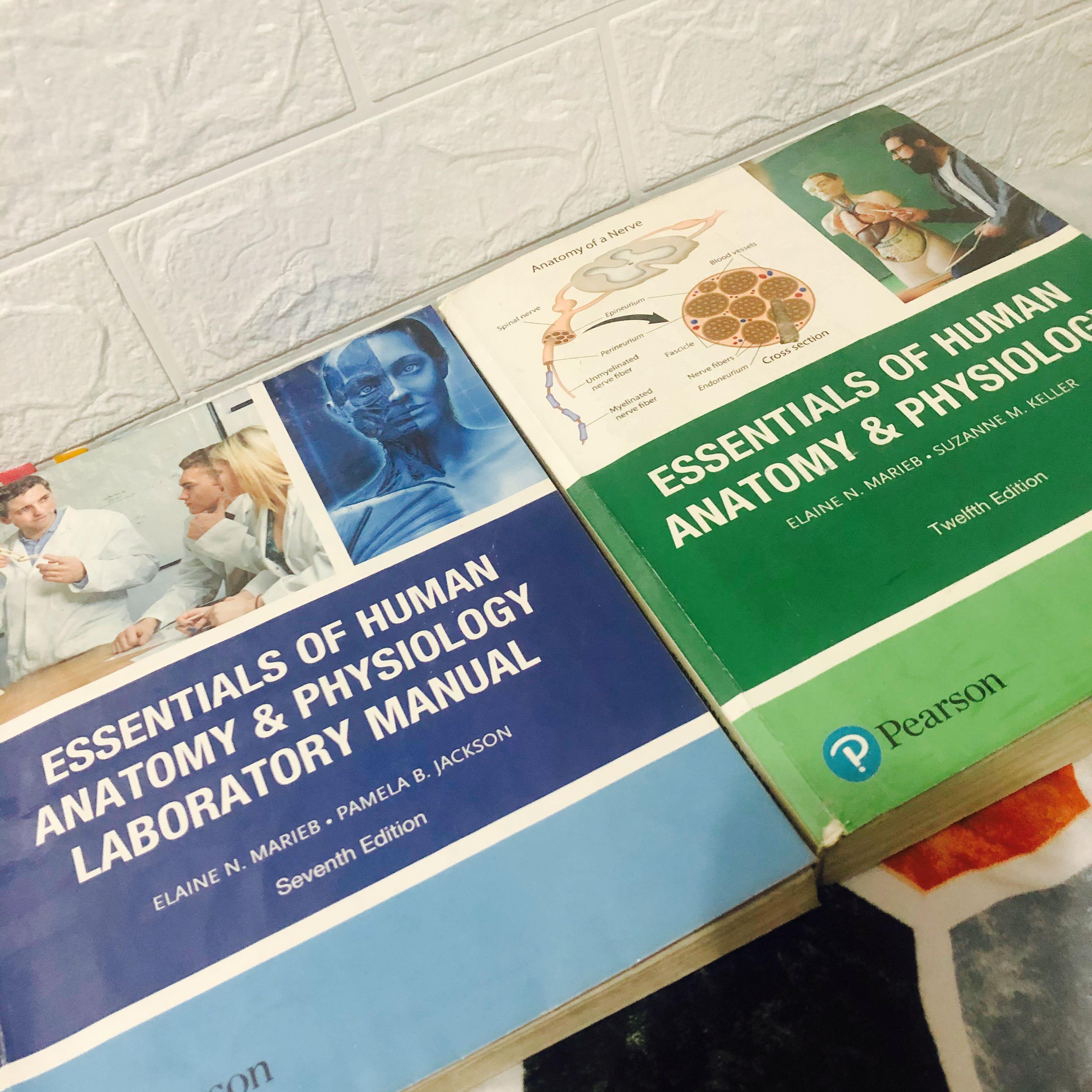 Essentials Of Human Anatomy And Physiology By Marieb Set Lecture And Lab Manual Hobbies Toys Books Magazines Textbooks On Carousell