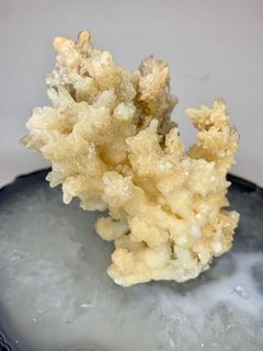 （分類：）位於 。 由 thequirklist 提交（商品編號 1066868040，圖片 1）。簡介： 。