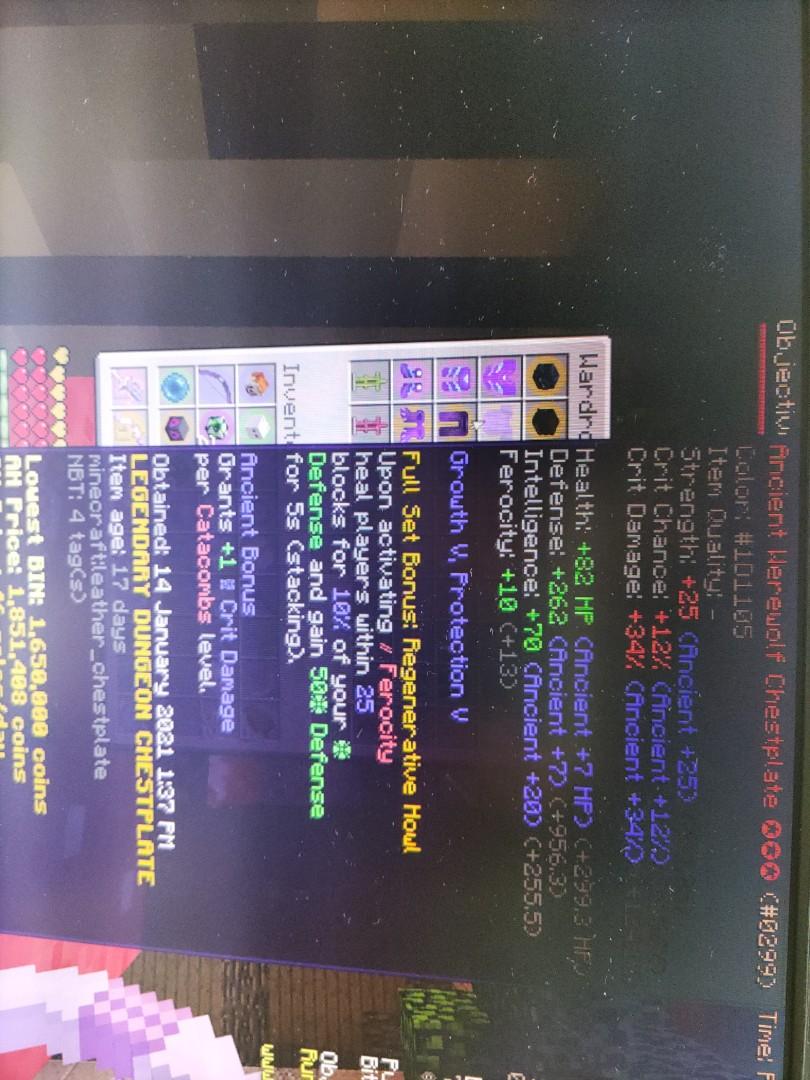 Minecraft Hypixel skyblock Ancient Werewolf armor (Insane ferocity