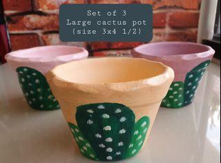 Clay Pots for Succulents and Cactus