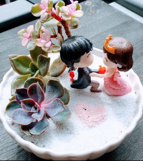 (Category: ) located in . Submitted by midori_botany (Listing ID 1066754939, Image 1). Description: .