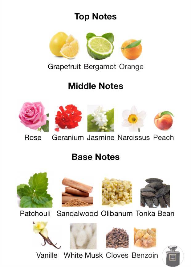 Authentic perfume COCO NOIR CHANEL Original Item Beauty Personal Care Fragrance Deodorants on Carousell