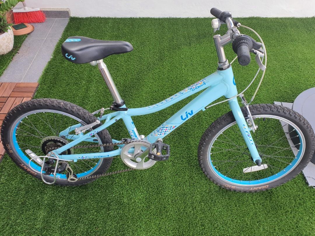 liv 20 inch bike