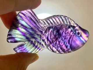 （分類：）位於 。 由 thequirklist 提交（商品編號 1068794966，圖片 1）。簡介： 。
