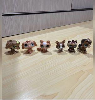 LPS (brown sold)