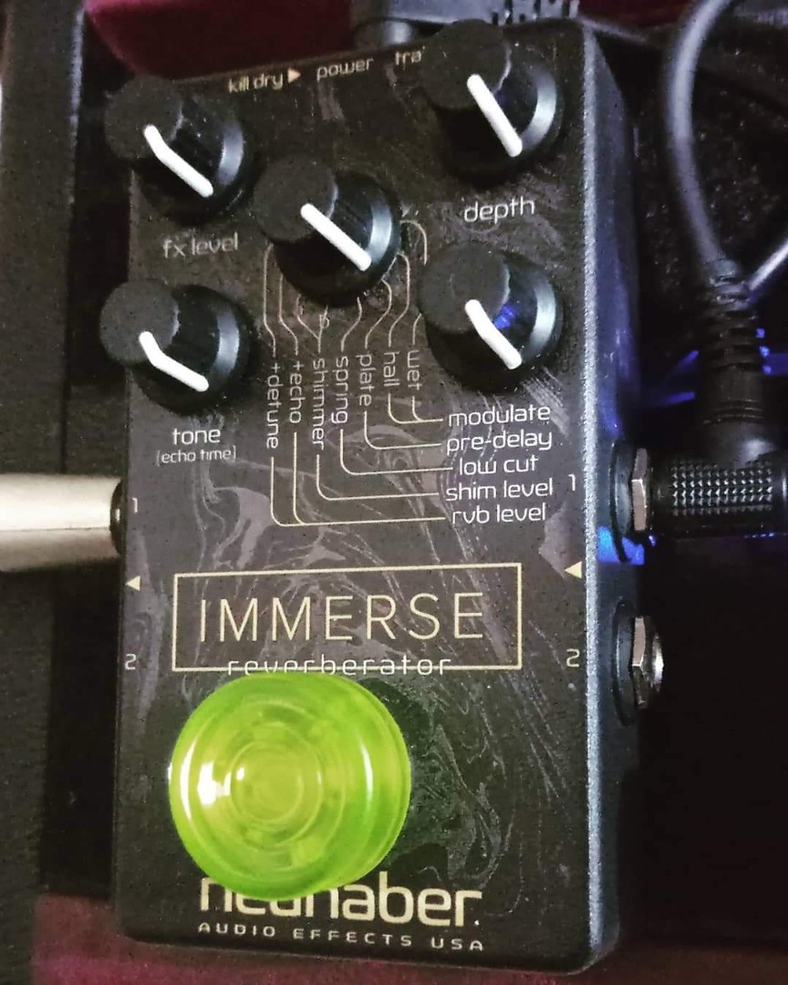 Neunaber Immerse v1 Reverb Pedal, Hobbies & Toys, Music & Media, CDs & DVDs on Carousell