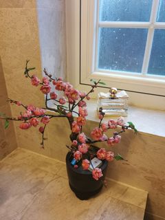 （分類：）位於 。 由 kittykfmo 提交（商品編號 1068739045，圖片 1）。簡介： 。