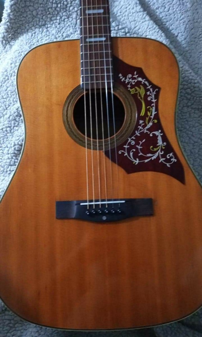 Terada shop hummingbird guitar
