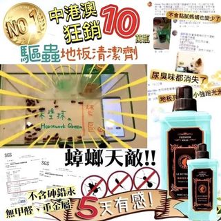 （分類：）位於 。 由 ececshopping 提交（商品編號 1068886602，圖片 1）。簡介： 。