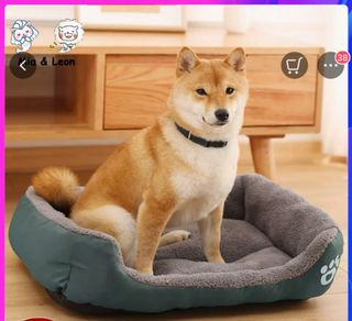(Category: ) located in . Submitted by ailinglim (Listing ID 1068835480, Image 1). Description: .