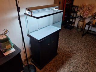 (Category: ) located in . Submitted by mike_wolf (Listing ID 1068977866, Image 1). Description: .