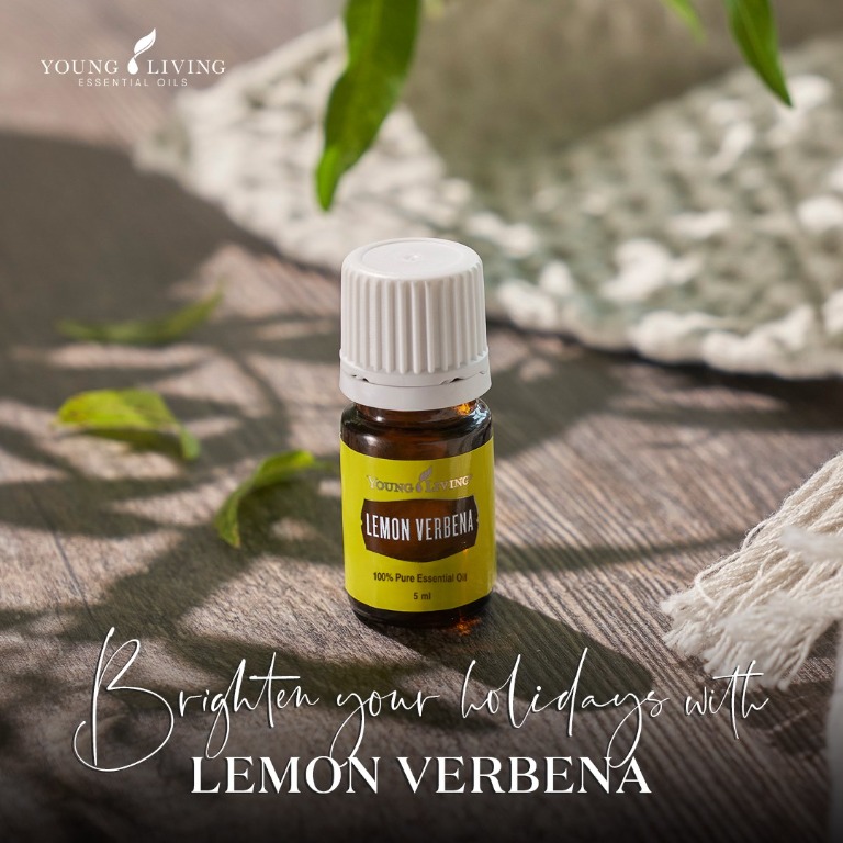 10 Iconic Benefits and Uses of Lemon Verbena Essential Oil – Rosemary Creek  Essential Oils