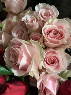(Category: ) located in . Submitted by thegiftfloratory (Listing ID 1068890265, Image 1). Description: .