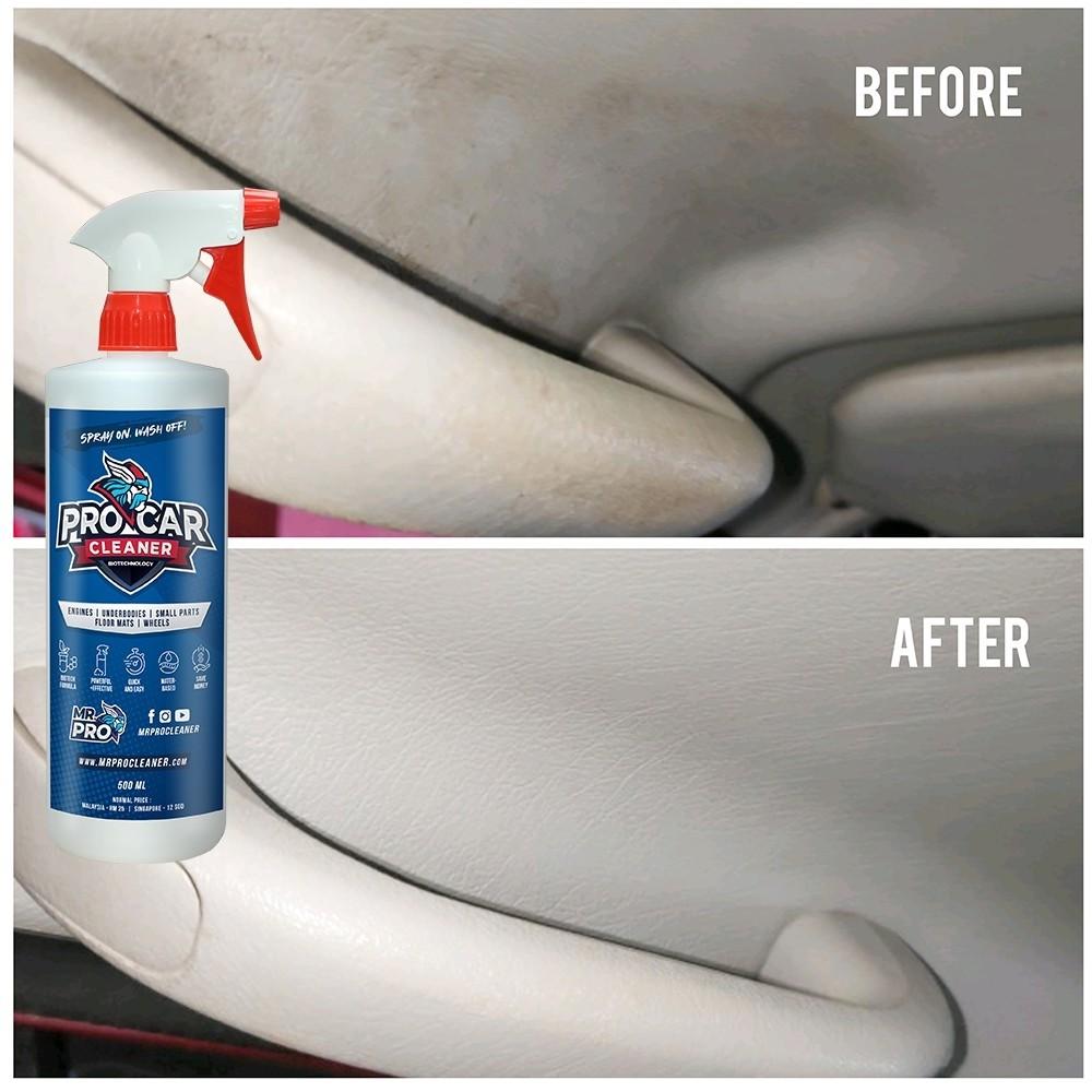 Pro Car Cleaner Interior Exterior Cleaner Car Wash Rim Wheel Cleaner