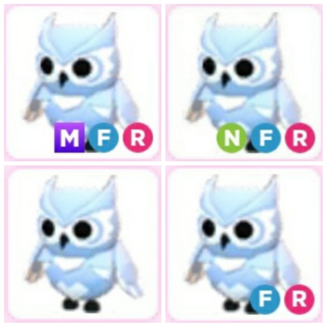 Snow Owl Normal FR MFR Adopt me pet Roblox, Video Gaming, Gaming