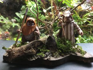 (Category: ) located in . Submitted by liltamytherabbit (Listing ID 1068888260, Image 1). Description: .
