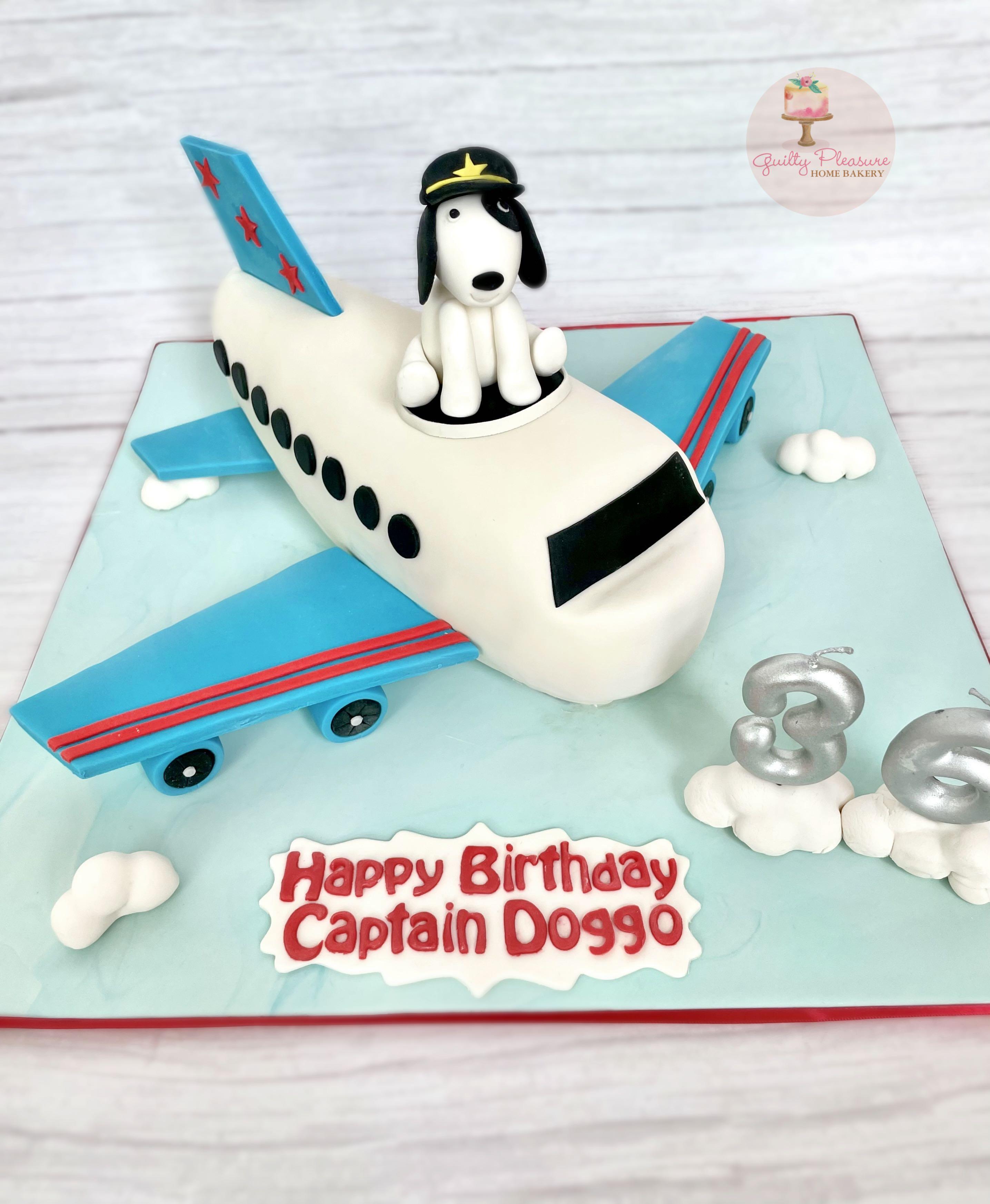 D'lish Cakes - Tui airplane cake xx | Facebook
