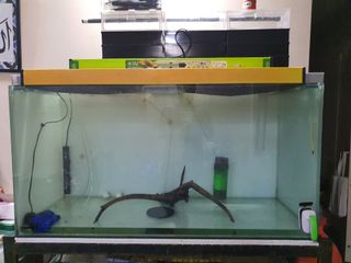 (Category: ) located in . Submitted by defiantz (Listing ID 1067346712, Image 1). Description: .
