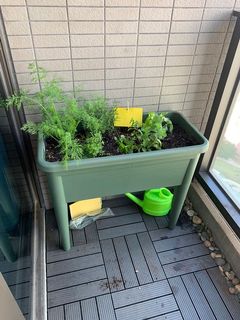 （分類：）位於 。 由 growsomethinghk 提交（商品編號 1069015911，圖片 1）。簡介： 。