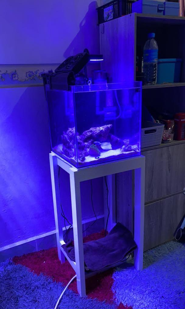 DIY aquarium stand 1ft cube tank