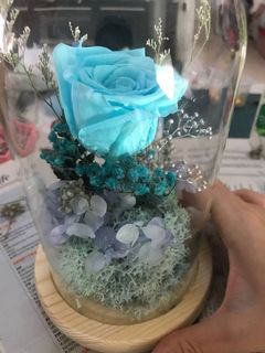 (Category: ) located in . Submitted by blissfulclouds (Listing ID 1069151922, Image 1). Description: .