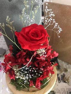 (Category: ) located in . Submitted by blissfulclouds (Listing ID 1069151945, Image 1). Description: .