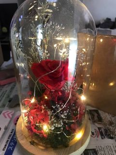 (Category: ) located in . Submitted by blissfulclouds (Listing ID 1069151986, Image 1). Description: .