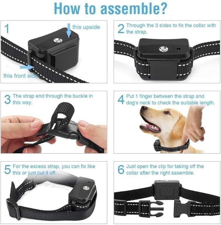 Do barking collars hurt dogs sales