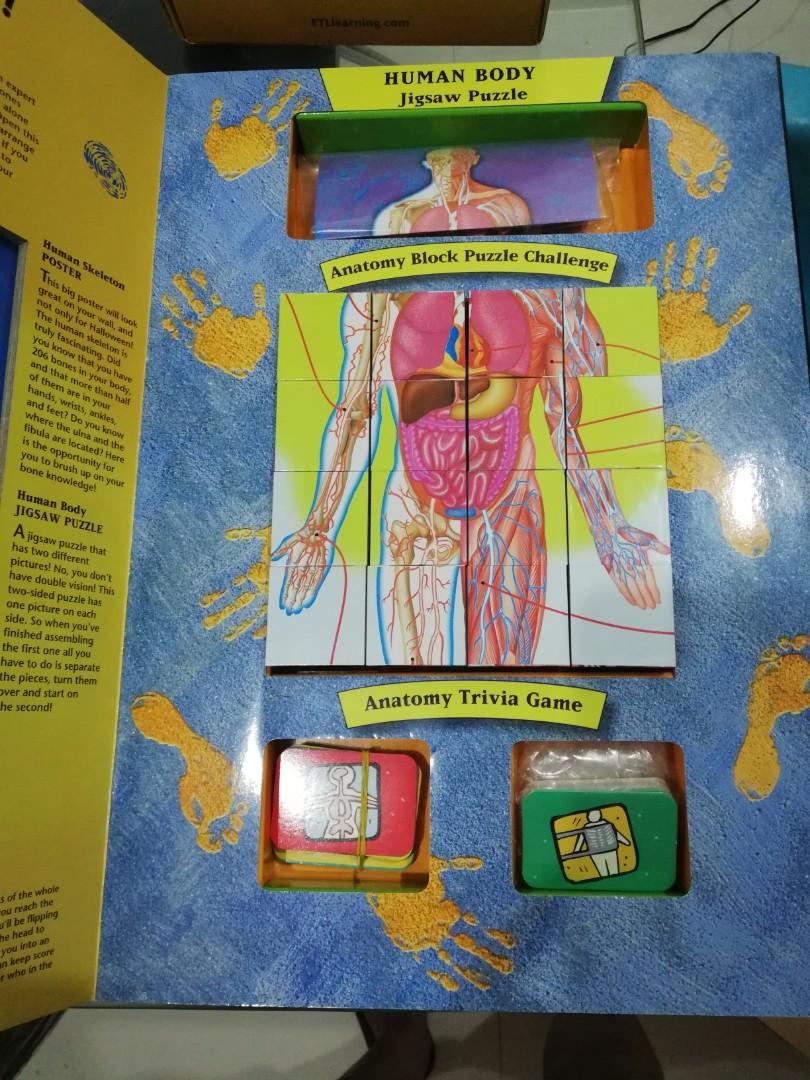 Big block body atlas, Hobbies & Toys, Books & Magazines, Children's ...