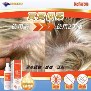 （分類：）位於 。 由 bestpetseller 提交（商品編號 1055002798，圖片 1）。簡介： 。