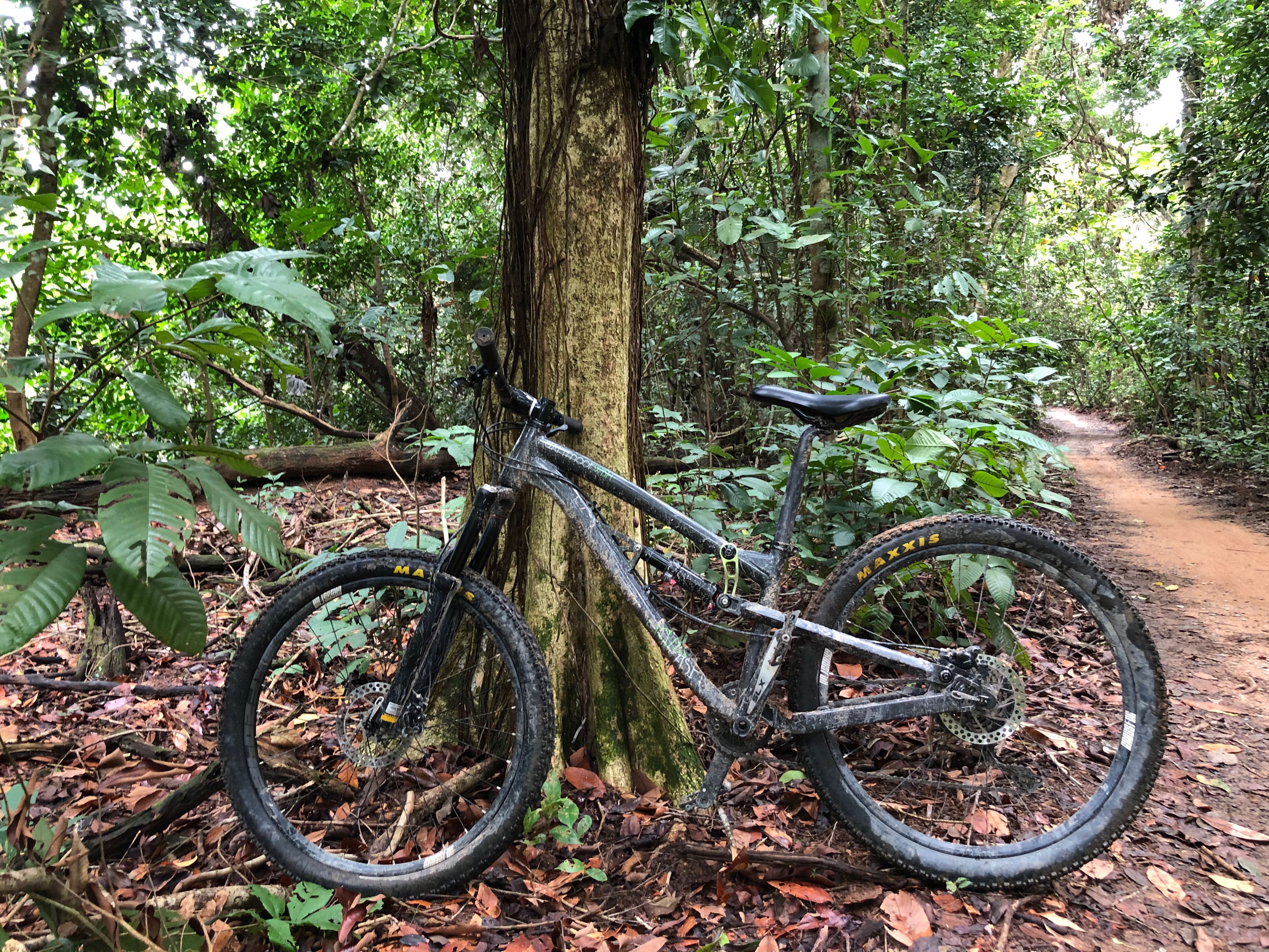 Dartmoor full suspension hot sale