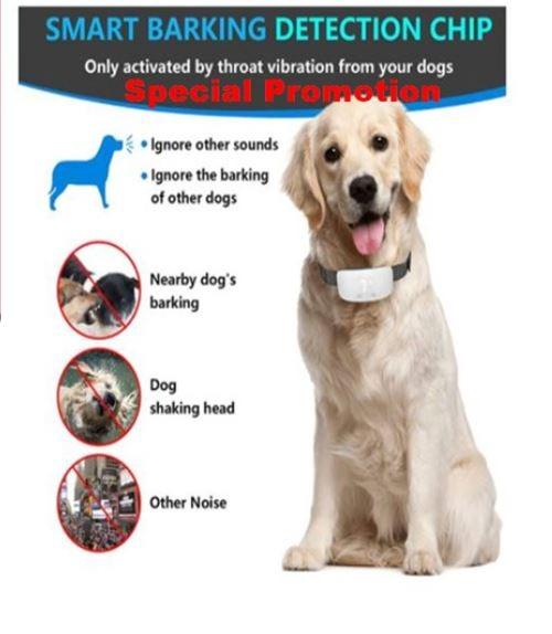 Shock collar hotsell beeping noise