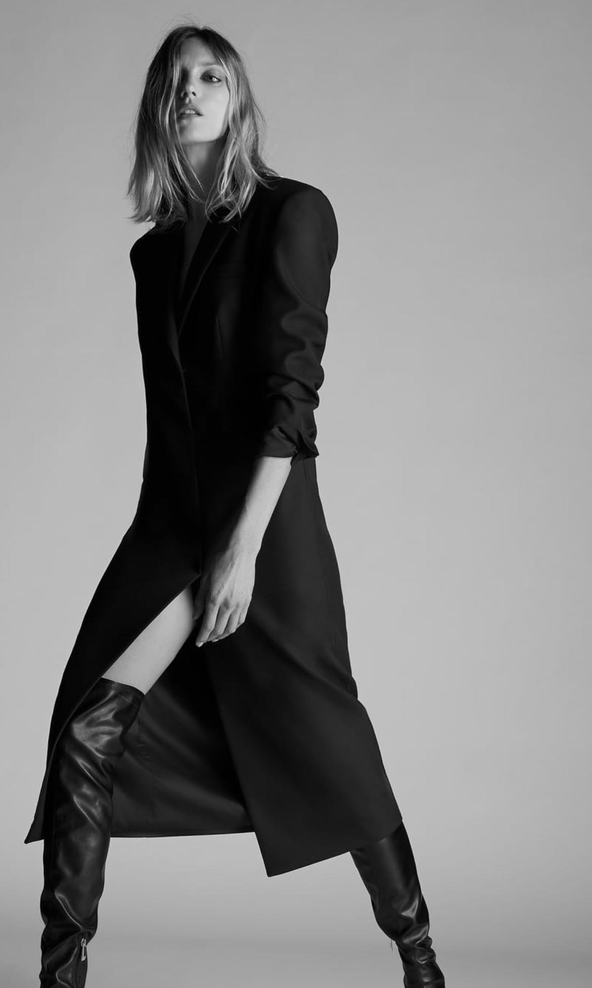 Zara coat dress on sale