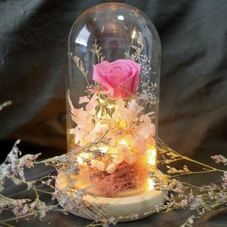 (Category: ) located in . Submitted by blissfulclouds (Listing ID 1069390578, Image 1). Description: .