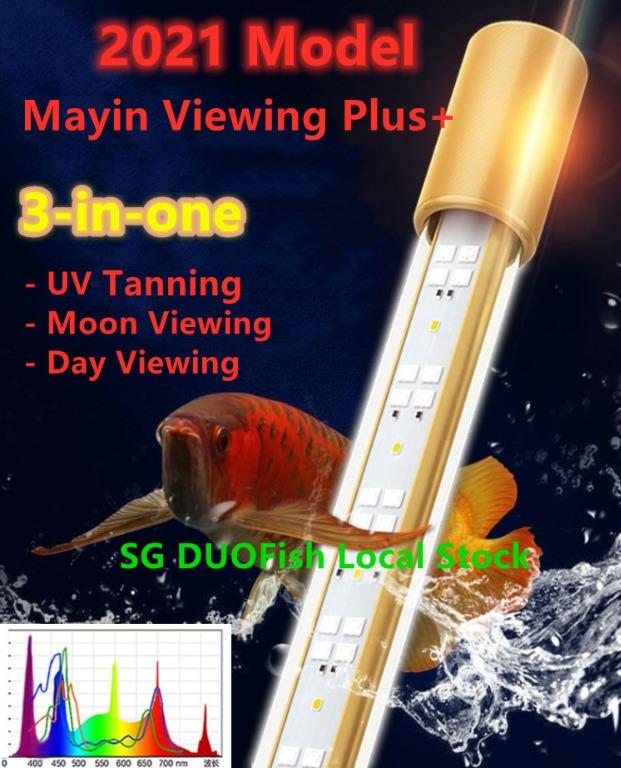 2021 model mayin 3 in 1 arowana viewing light plus uvb tanning moon mode 3ft 4ft 5ft for red fishes plants pet supplies homes other pet accessories on carousell