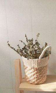 7x7in Basket of Dried Eucalyptus