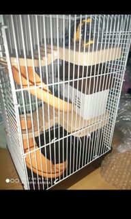 （分類：）位於 。 由 noblefish.958d4f 提交（商品編號 1069633883，圖片 1）。簡介： 。