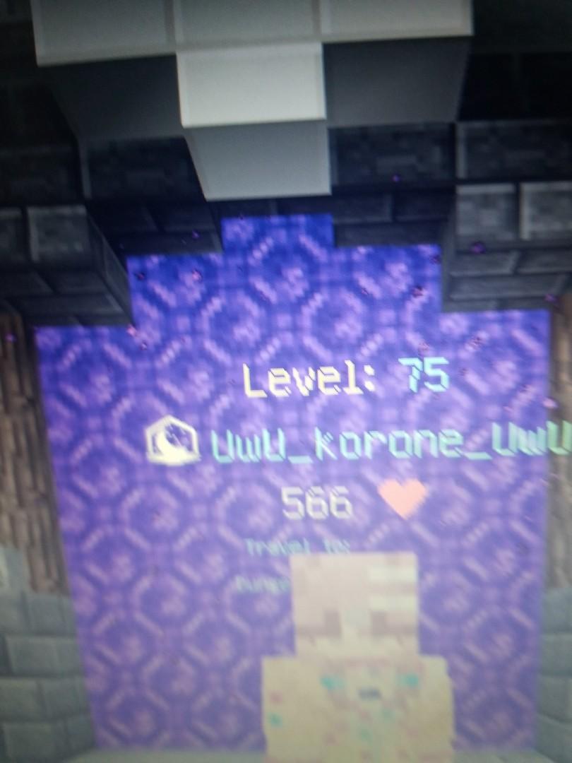 hypixel skyblock coin 2/m UwU, 電子遊戲, 遊戲機配件, 互動遊戲Figure - Carousell