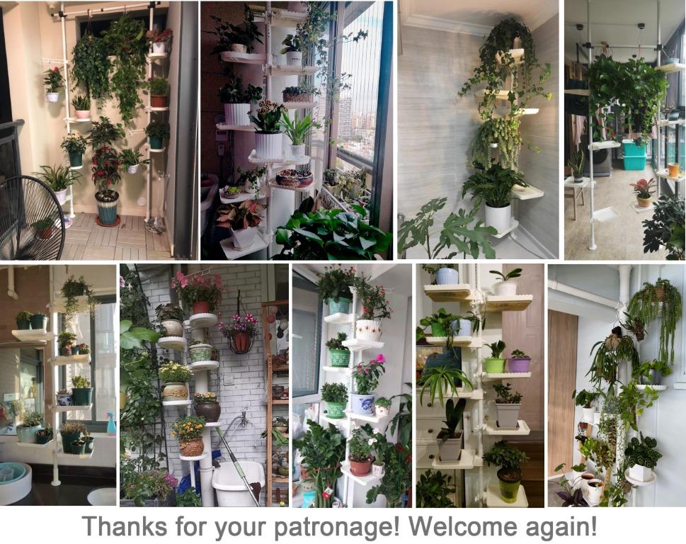 Planter Plant Rack Narrow plant Shelf Free Easy Install [ceiling ...