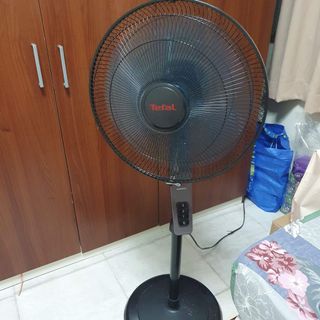 (Category: ) located in . Submitted by mayumi45 (Listing ID 1069612145, Image 1). Description: .