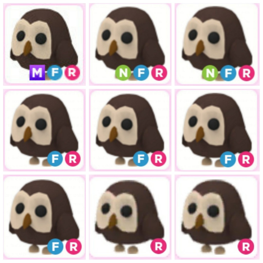 Adopt Me Owl Fr Nfr Mfr Roblox Pet From Farm Egg Video Gaming Gaming Accessories Game Gift Cards Accounts On Carousell - roblox farmer egg hat