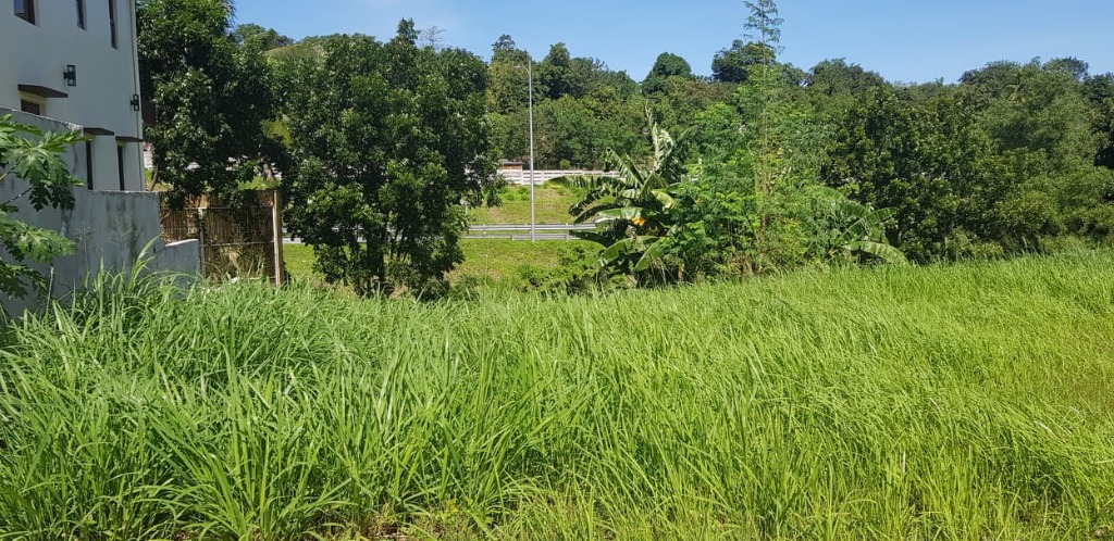 (Category: ) located in . Submitted by maic17 (Listing ID 1069718063, Image 1). Description: .