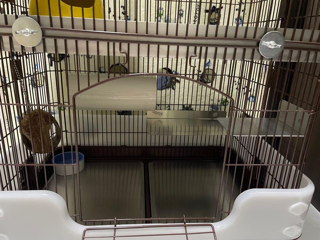 Chinchilla Cage, Pet Supplies, Homes & Other Pet Accessories on Carousell