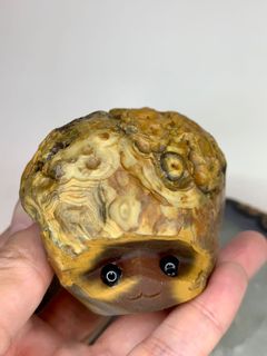 （分類：）位於 。 由 thequirklist 提交（商品編號 1069763817，圖片 1）。簡介： 。