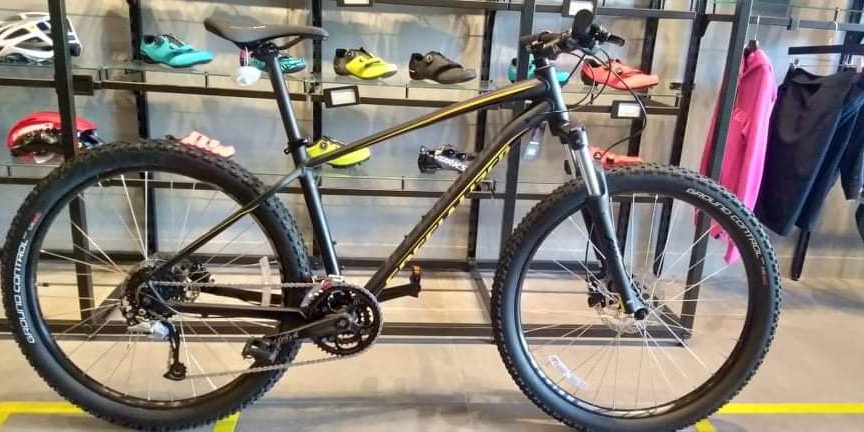 Specialized pitch hot sale large