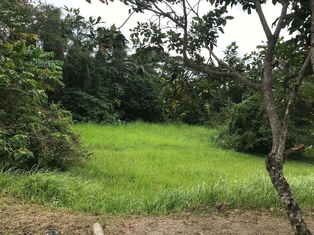 Leisure Farm Lemery Batangas, Property, For Sale, Lot on Carousell