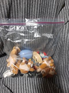 (Category: ) located in . Submitted by jenisek (Listing ID 1069848221, Image 1). Description: .