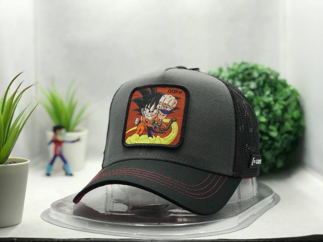 Gorras goorin sale bros dragon ball