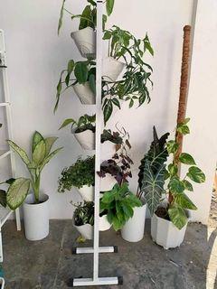 Plant Stand with free 10 pots
